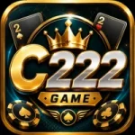C222 Game