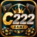 C222 Game